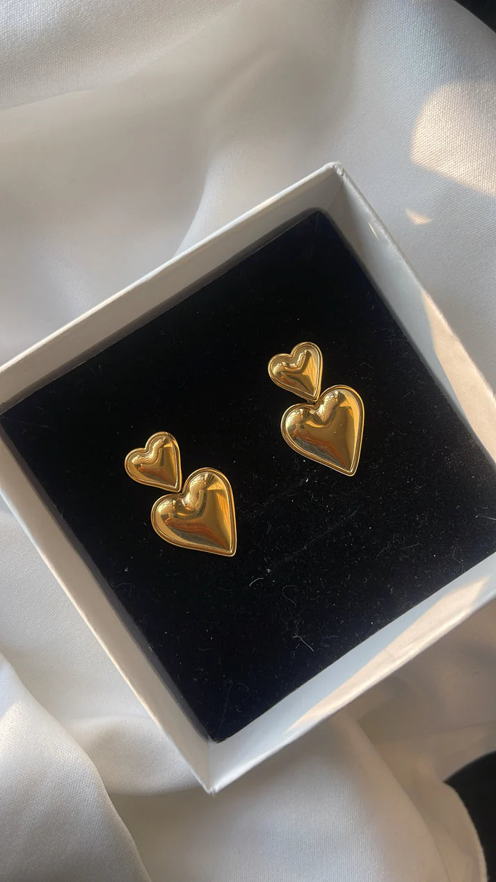 Dual Heart Earrings For Her