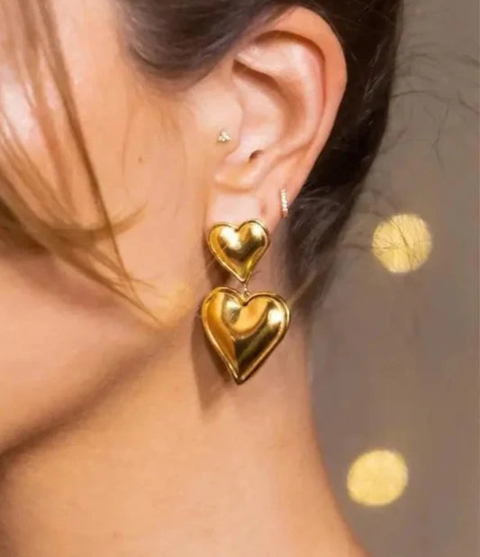 Dual Heart Earrings For Her
