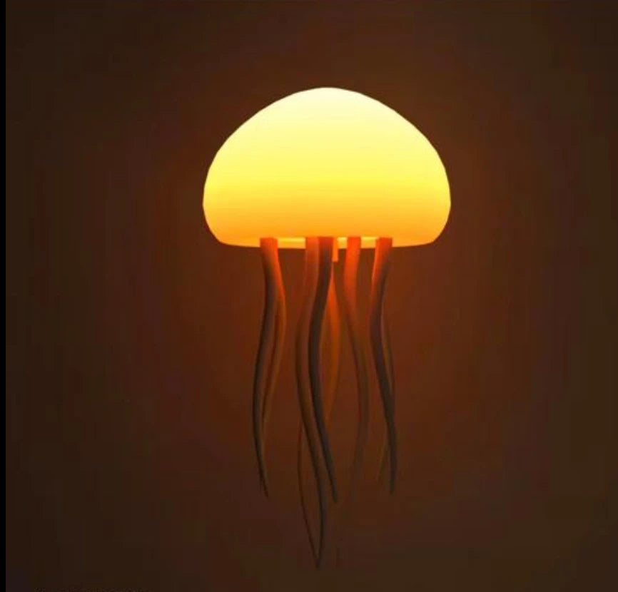 Lamp & Lights