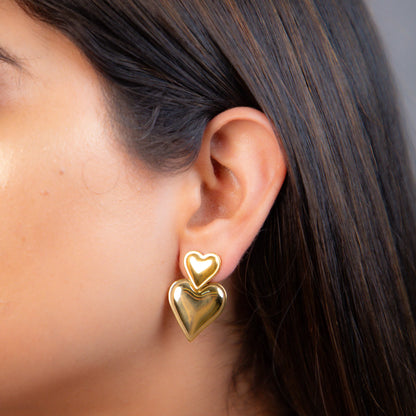 Dual Heart Earrings For Her