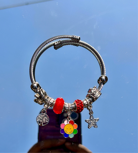 Silver charm colourful bracelet | Bangles